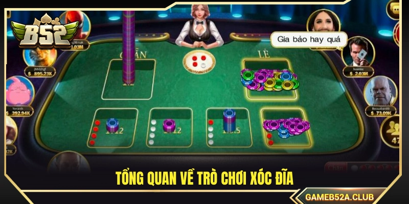 Giới thiệu chi tiết về xóc đĩa 