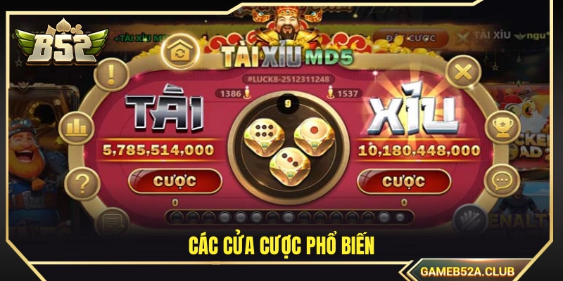 Những cửa cược thông dụng
